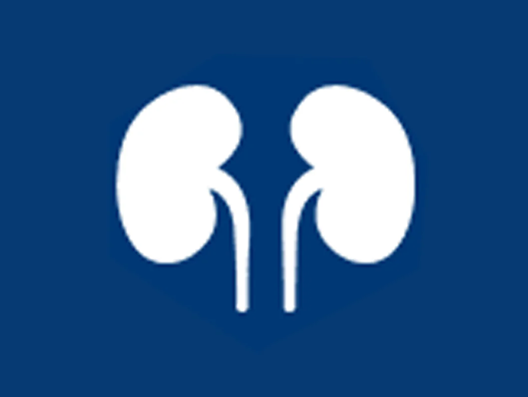 Kidney Basic Panel