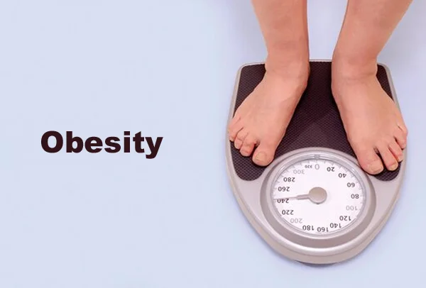 Obesity Panel